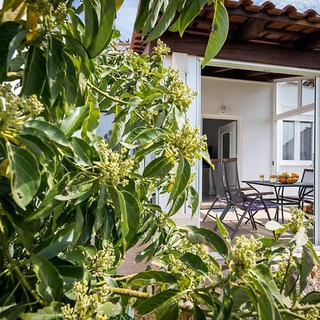 Avocado Apartment Dubrovnik Bagian luar foto