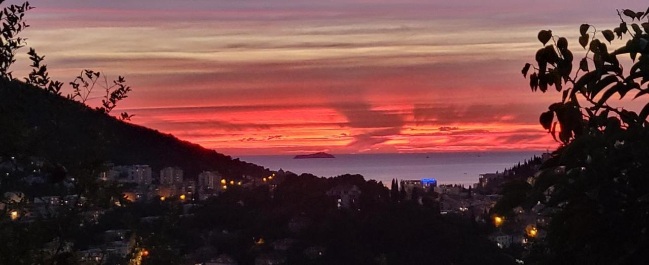 Avocado Apartment Dubrovnik Bagian luar foto
